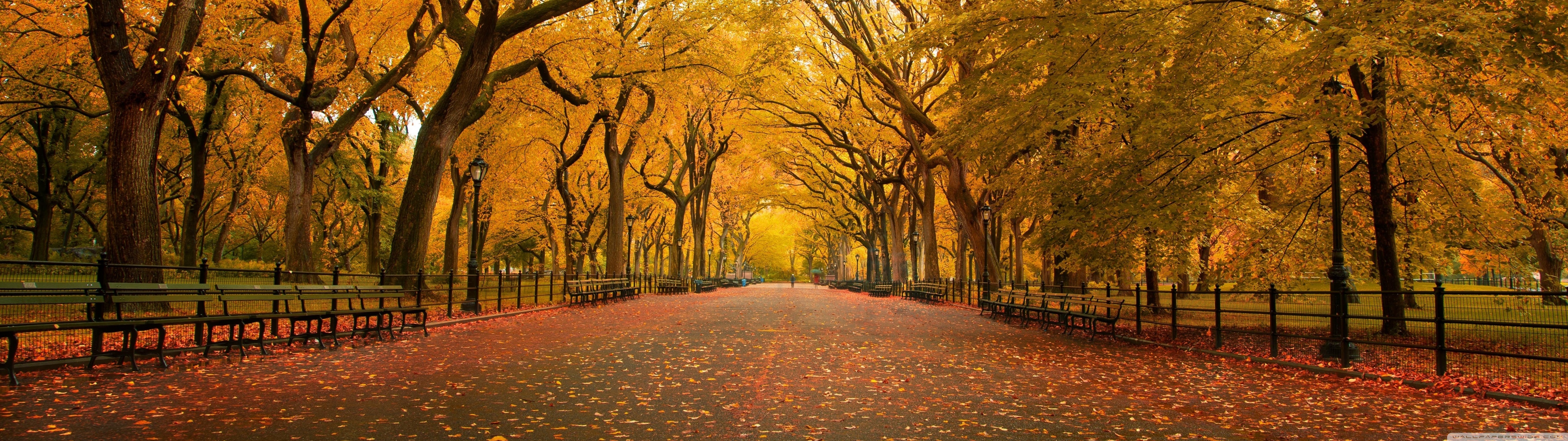 A picturesque autumn scene in Central Park, New York City, with a path lined with golden trees and fallen leaves