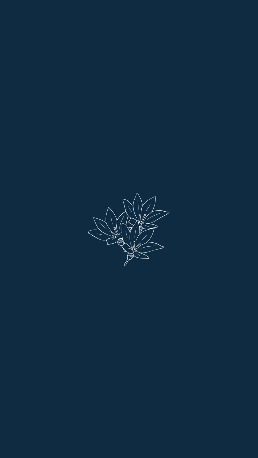 Aesthetic Minimalist iPhone Wallpaper