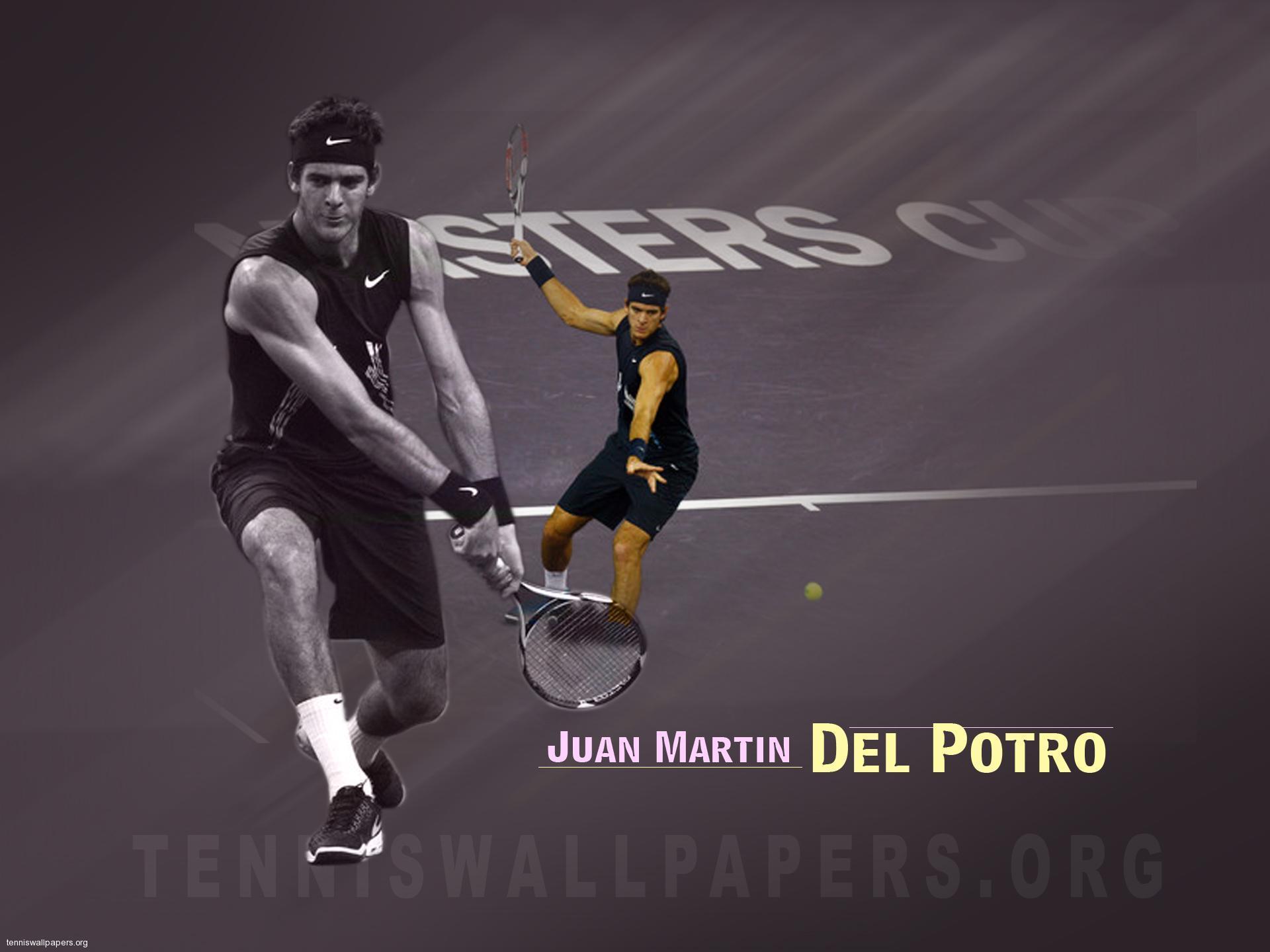 Juan Martin Del Potro Wallpaper