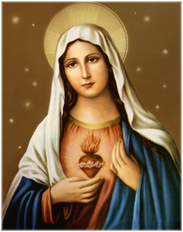 Image About Our Blessed Mother Virgin Mary On
