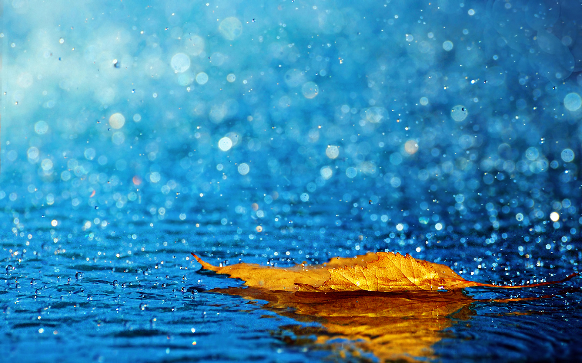Beautiful Rain HD Wallpaper For Desktop One Pictures