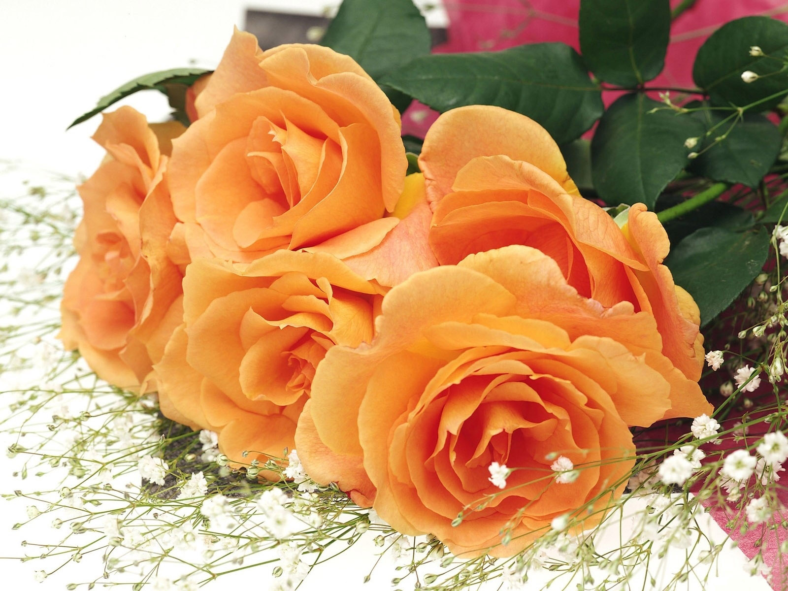 Awesome Orange Roses   Roses Wallpaper 34611168