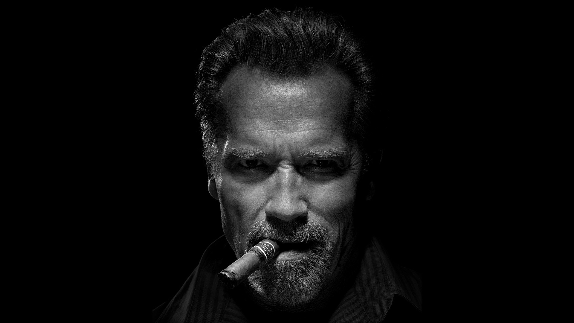 Arnold Wallpaper