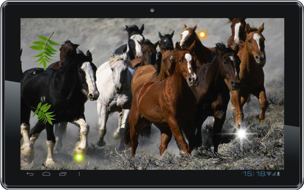 Horses HD Live Wallpaper Android Apps On Google Play