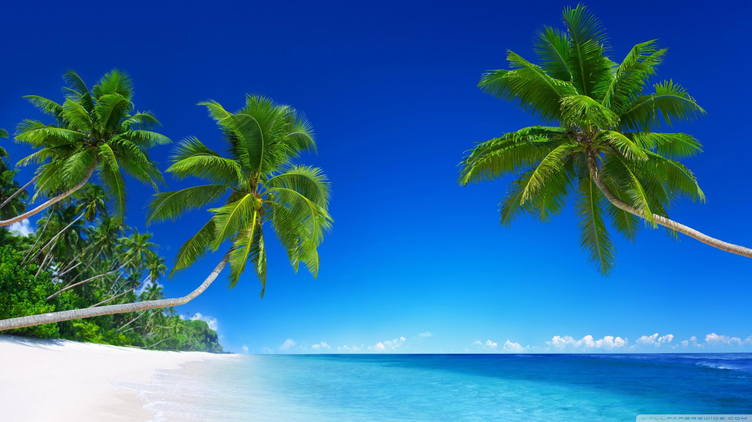 Tropical Beach Paradise 5k Ultra HD Desktop Background Wallpaper