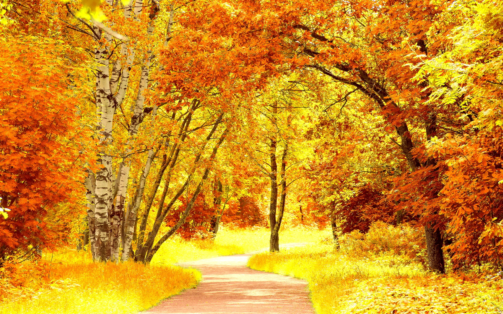 A picturesque pathway winds through a vibrant autumn forest, bathed in the warm glow of yellow and orange foliage