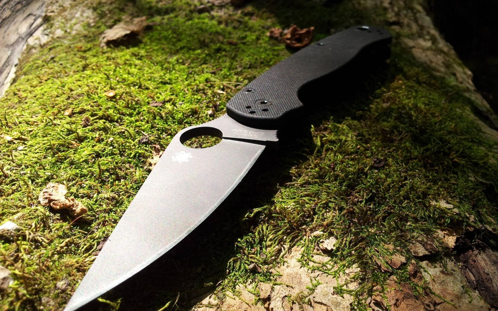 Wallpaper Tree Knife Spyderco Paramilitary Moss