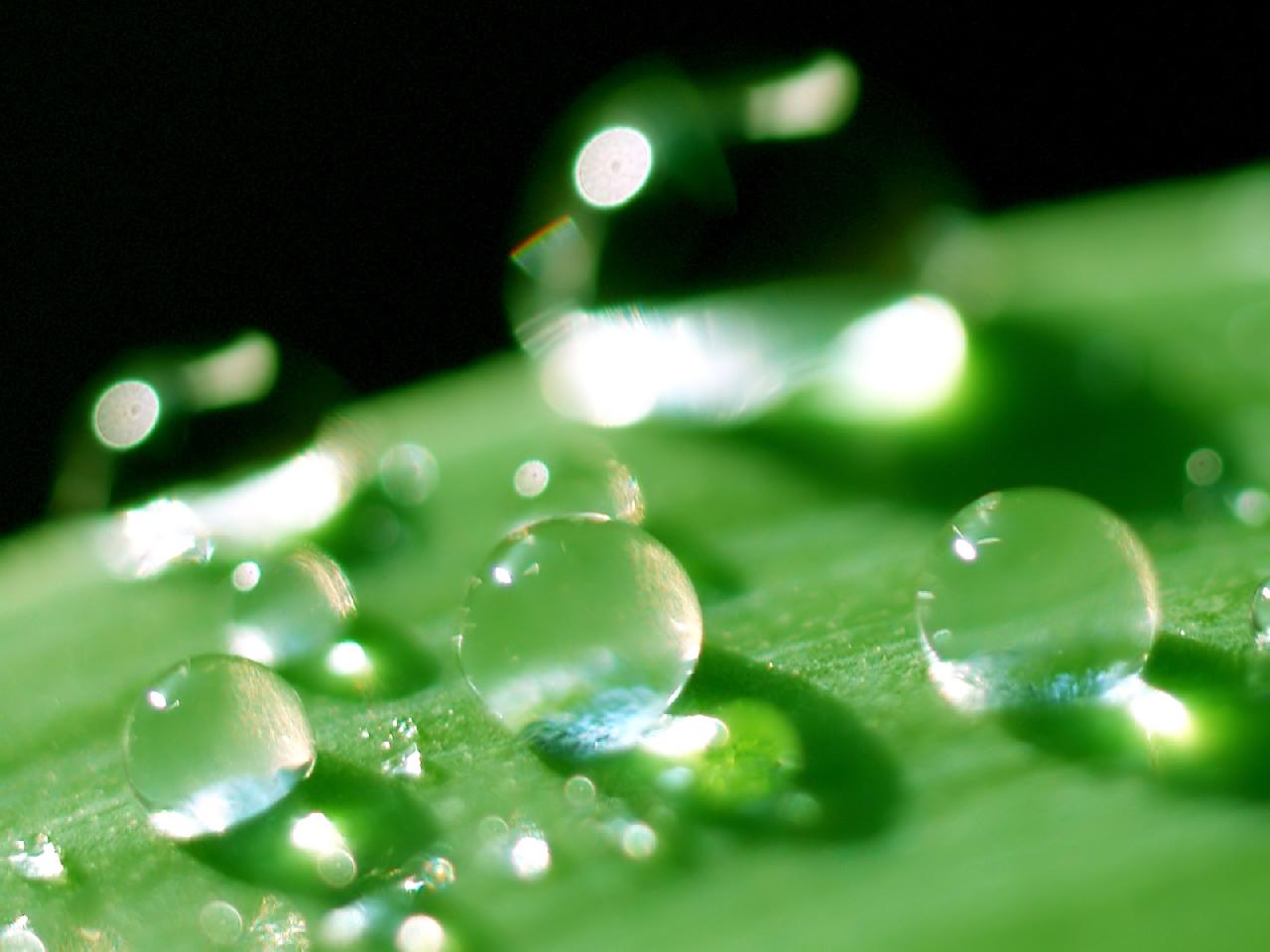 Green Water Droplets Wallpaper HD 3d