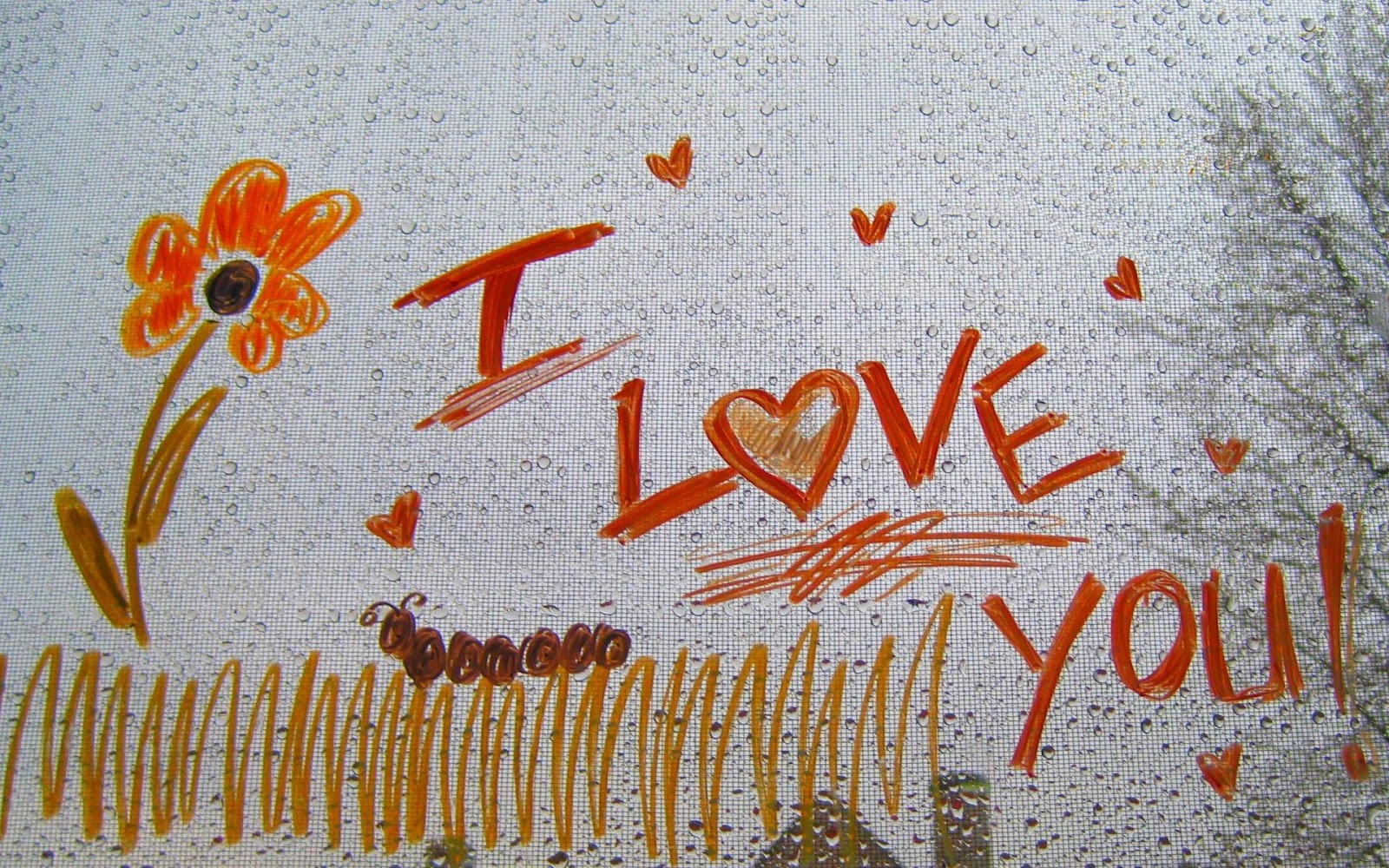 HD Liefde Wallpaper Met Gekleurde Tekst I Love You