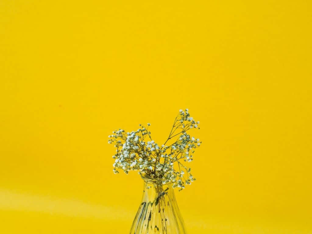 Minimalist Flower Wallpaper