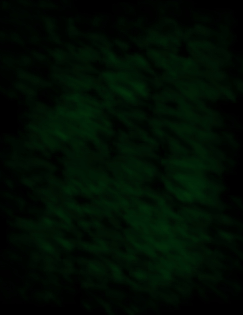 Dark Green Background Texture