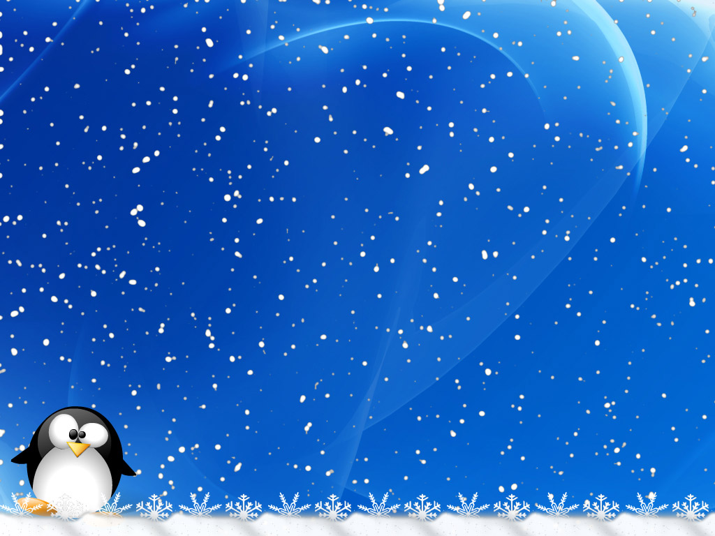 Wallpaper Penguin Snow Photo For Desktop