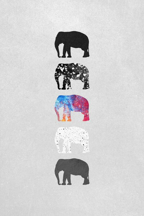 Fondos De Elefantes
