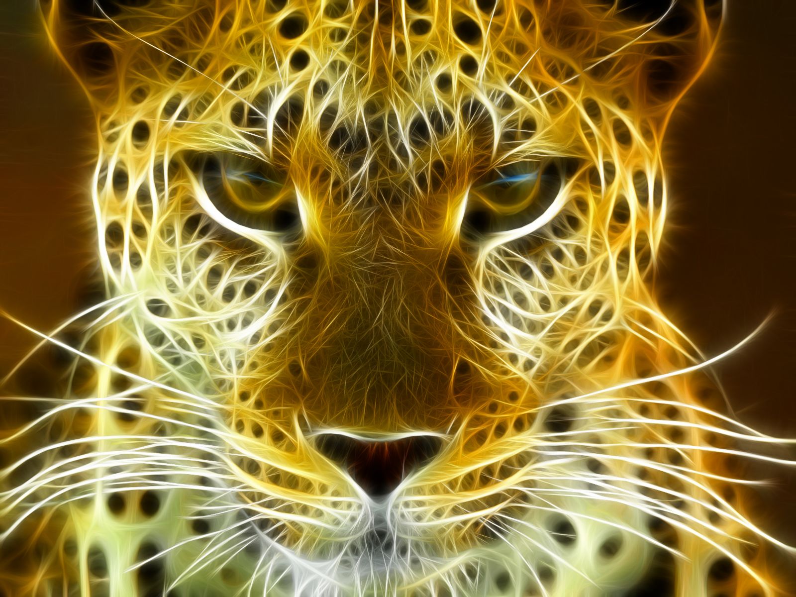 Animal Fractal Wallpaper Collections Lion Wolf