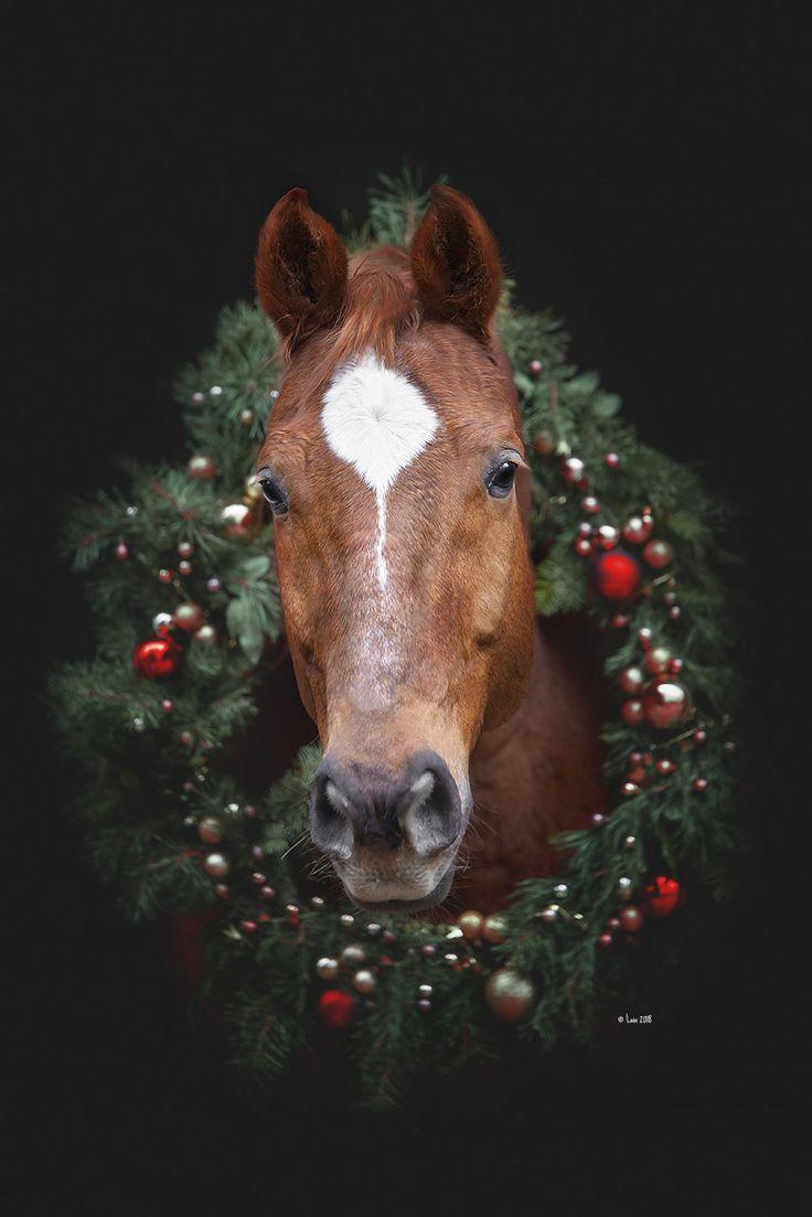 Something Horsey this Way Comes Christmas horses Horse