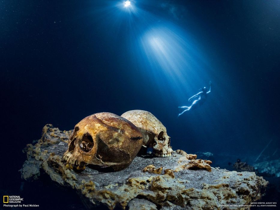 Light Skulls Nature National Geographic Underwater Snorkeling