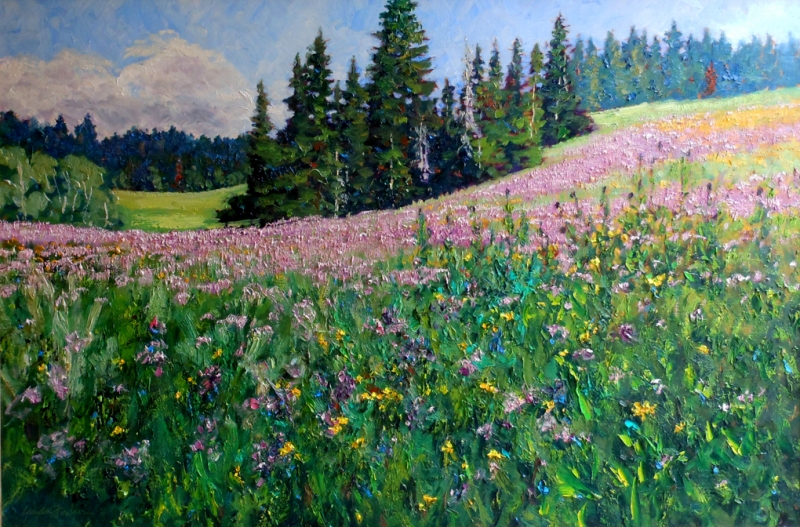 Mountain Meadow Spring Wallpaper Pictures