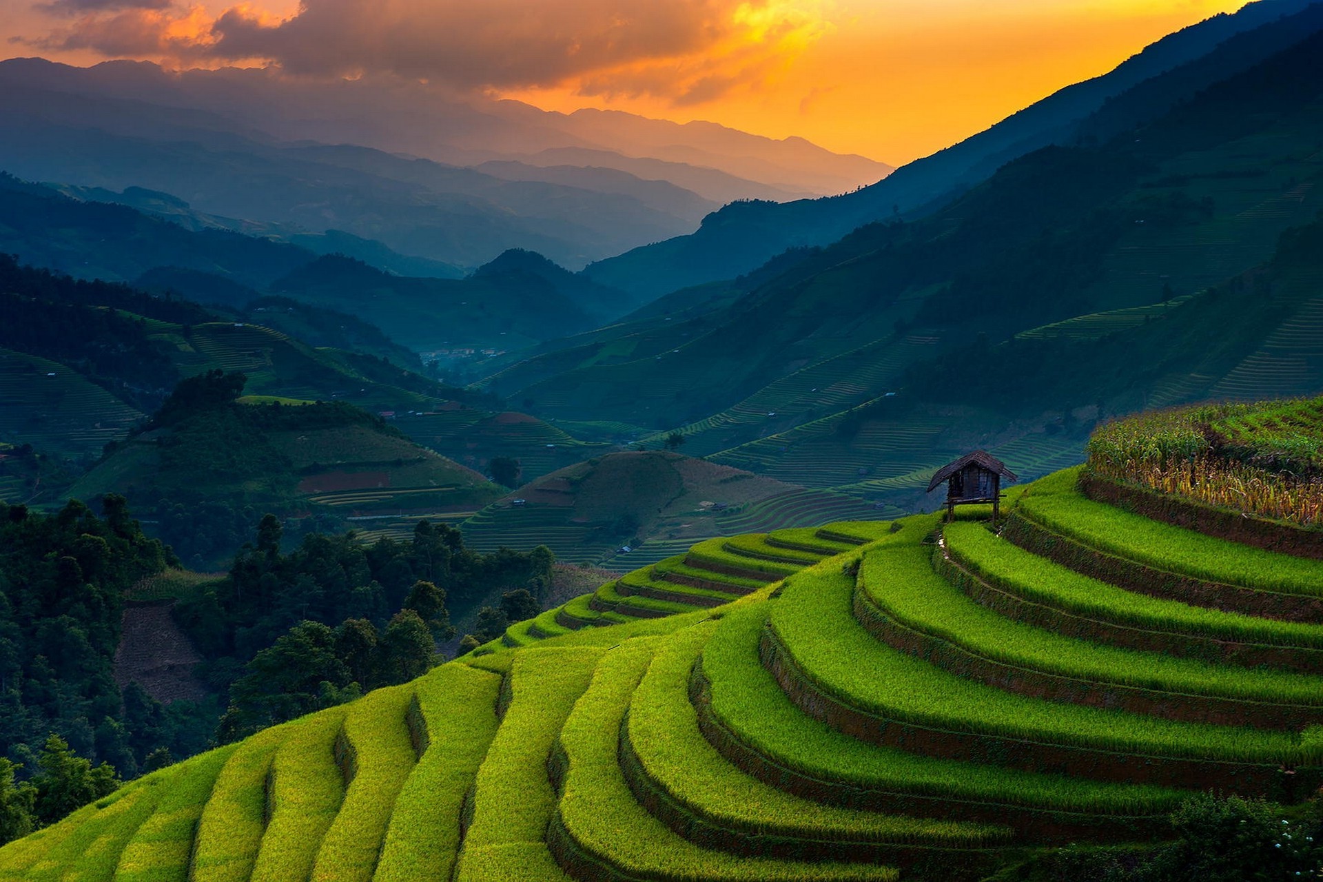 Landscape Nature Rice Paddy Terraces Mountain Sunset Field Trees Wallpaper