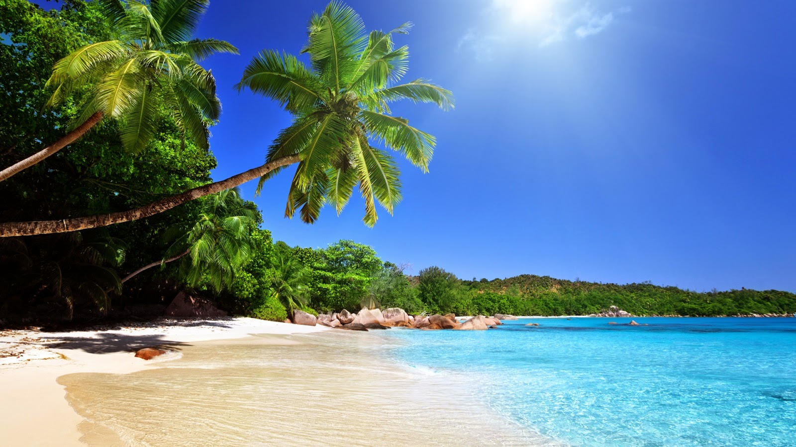 Tropical Blue Sea Clear Sky White Sand Beach Theme HD 1080p