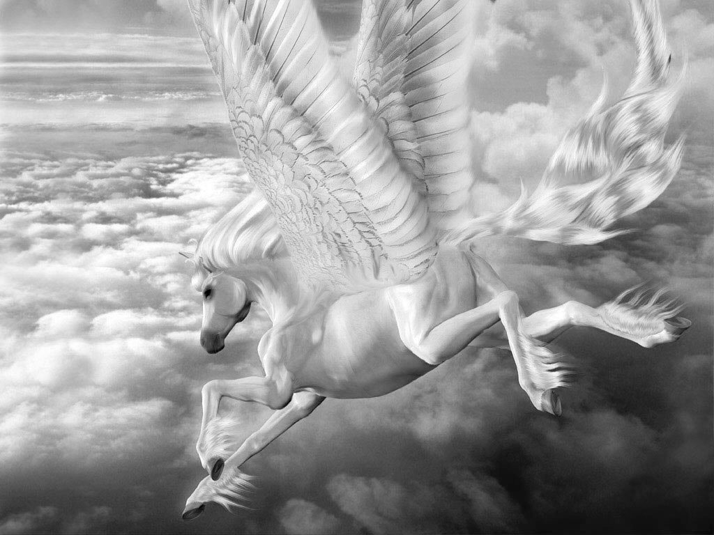 Pegasus Ismini Duymu Sunuzdur Havayollar Irketlerinden Biri