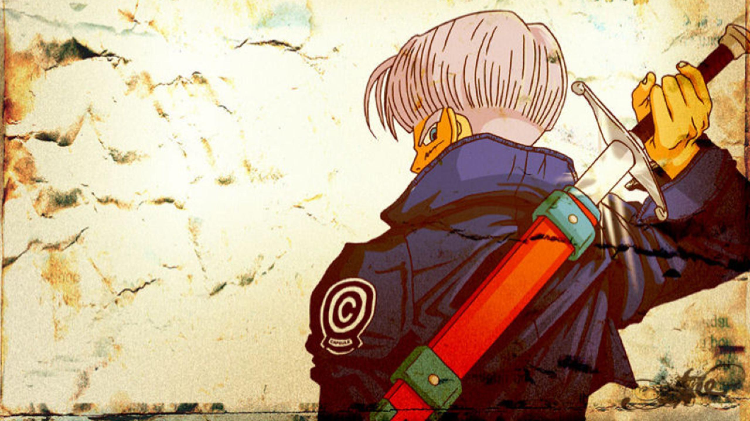 Trunks Wallpapers   Top Free Trunks Backgrounds