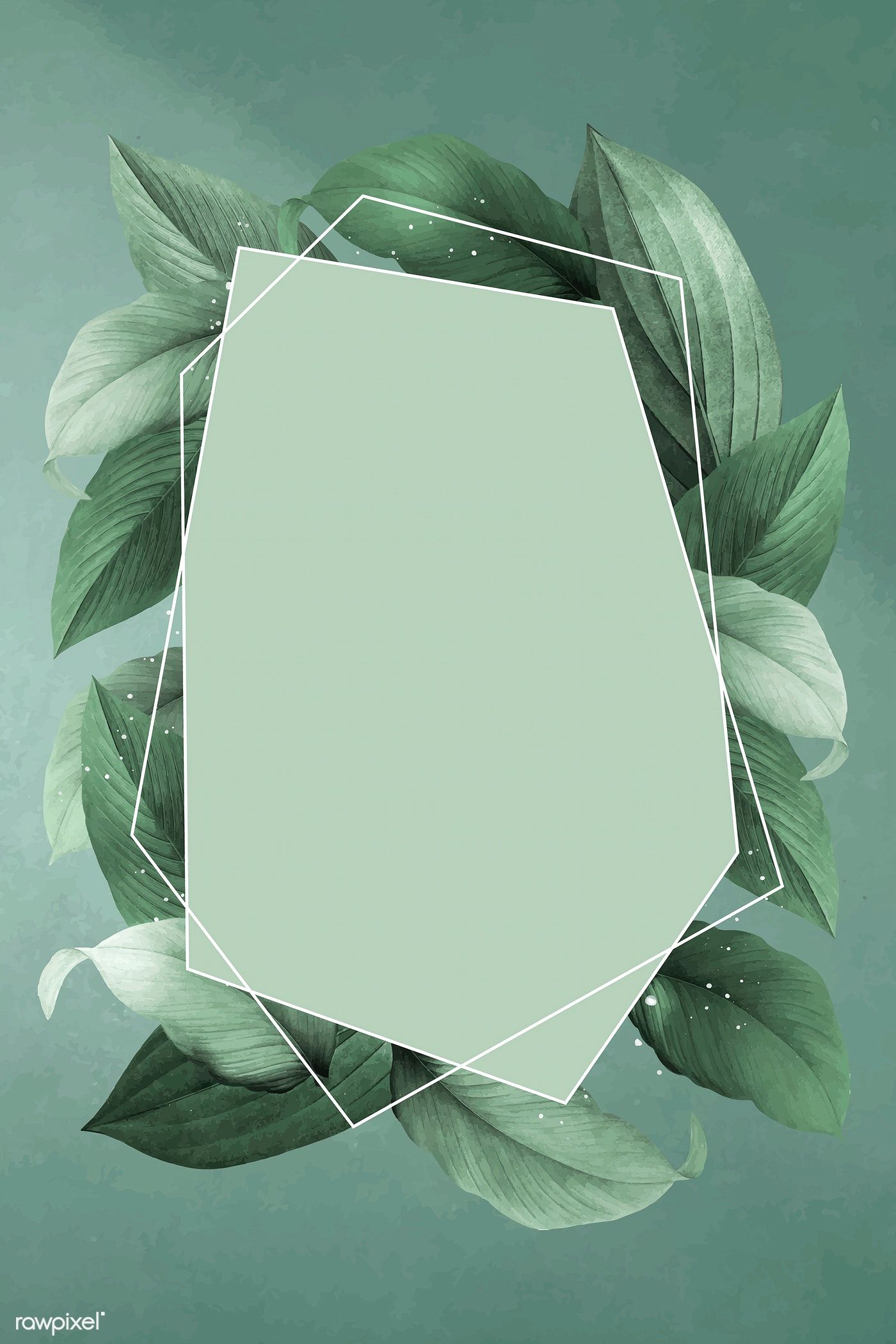 Premium Illustration Of Hexagon Foliage Frame On Green