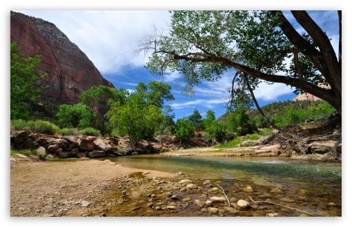 Zion National Park HD Desktop Wallpaper Widescreen High