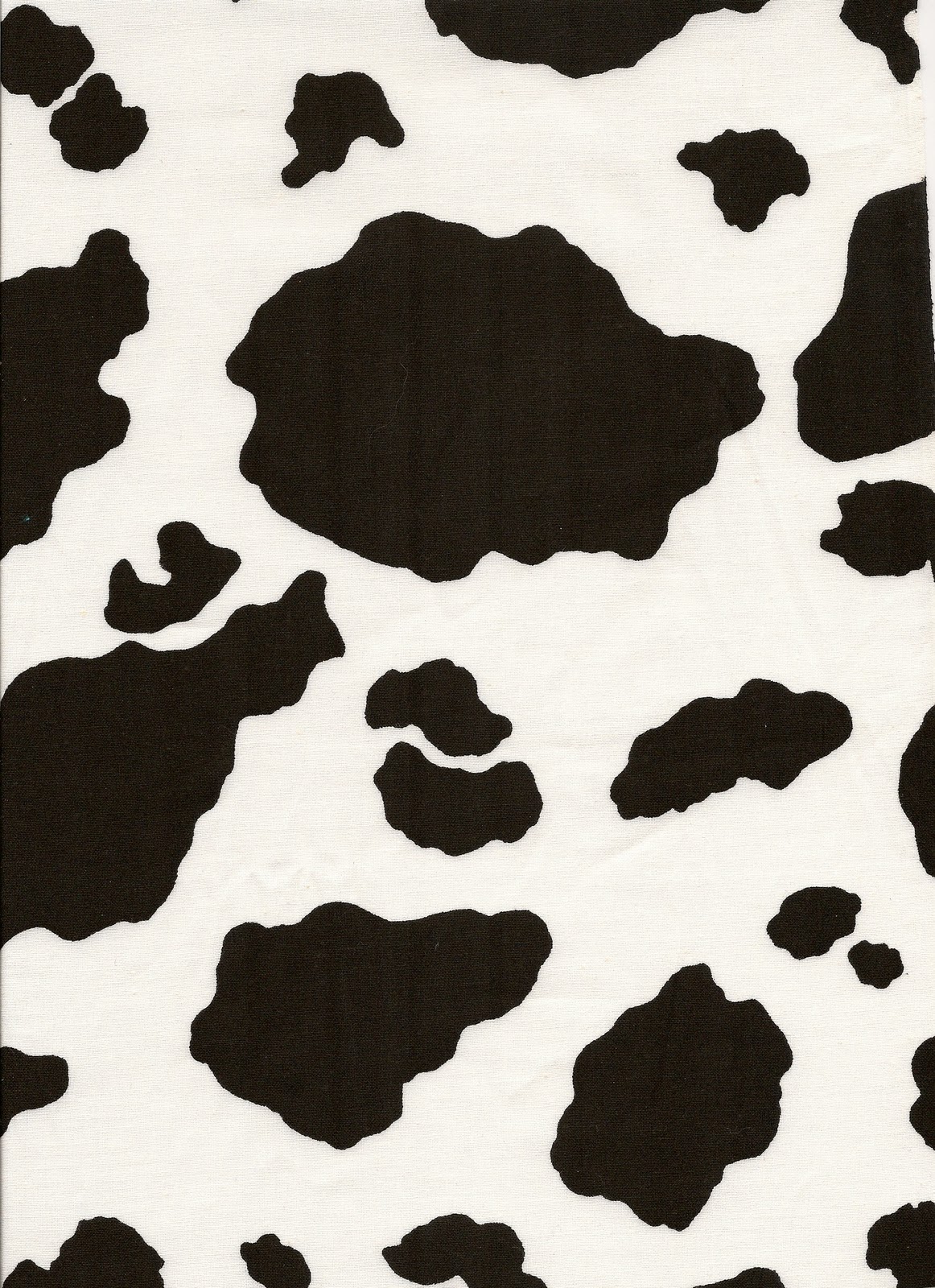Pin Black Cow Print Wallpaper