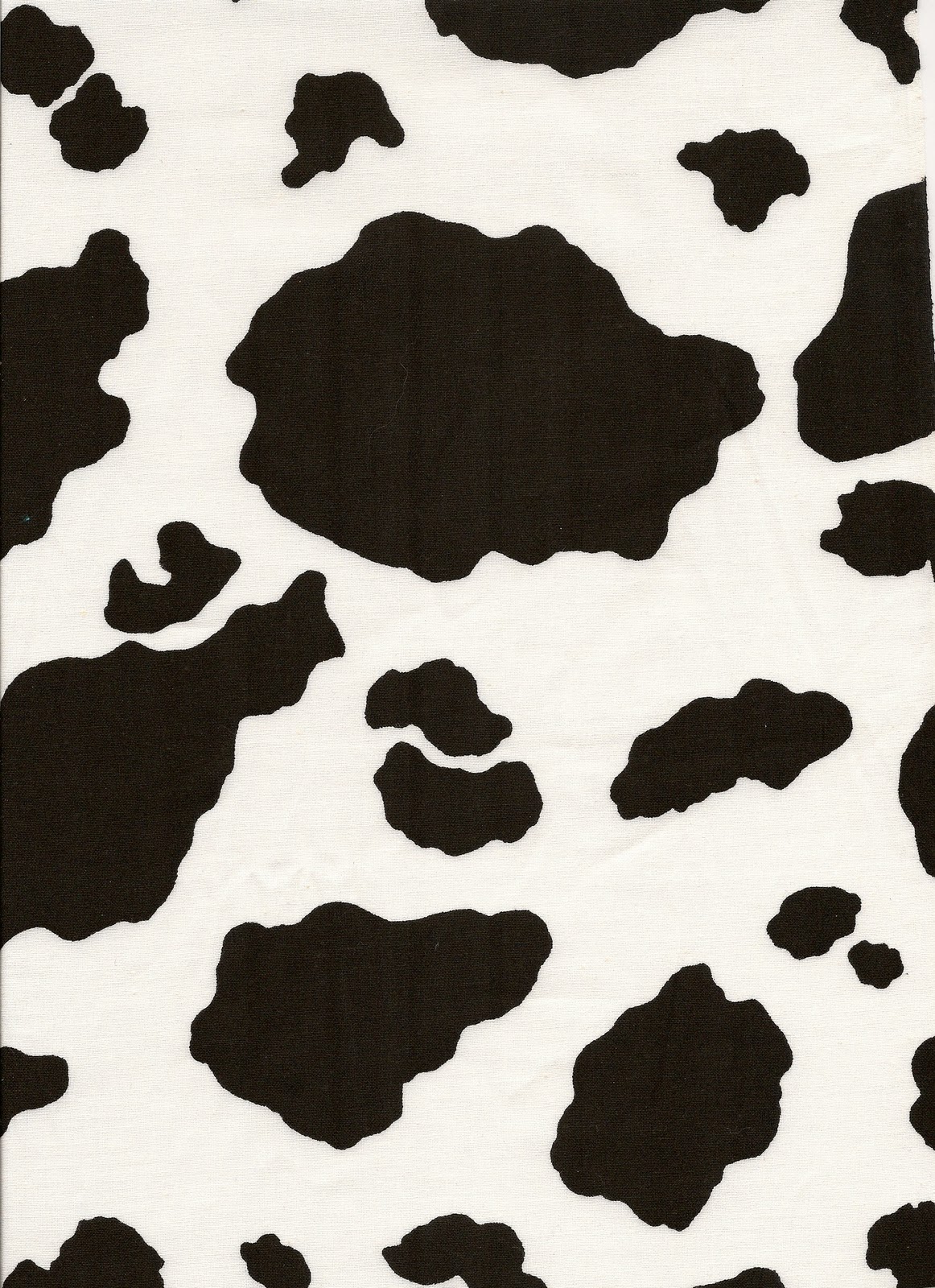 Vector images Cow Wallpaper