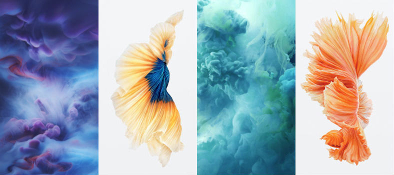 iPhone 6s official Live Photos Dynamic Wallpapers iPhone 6s