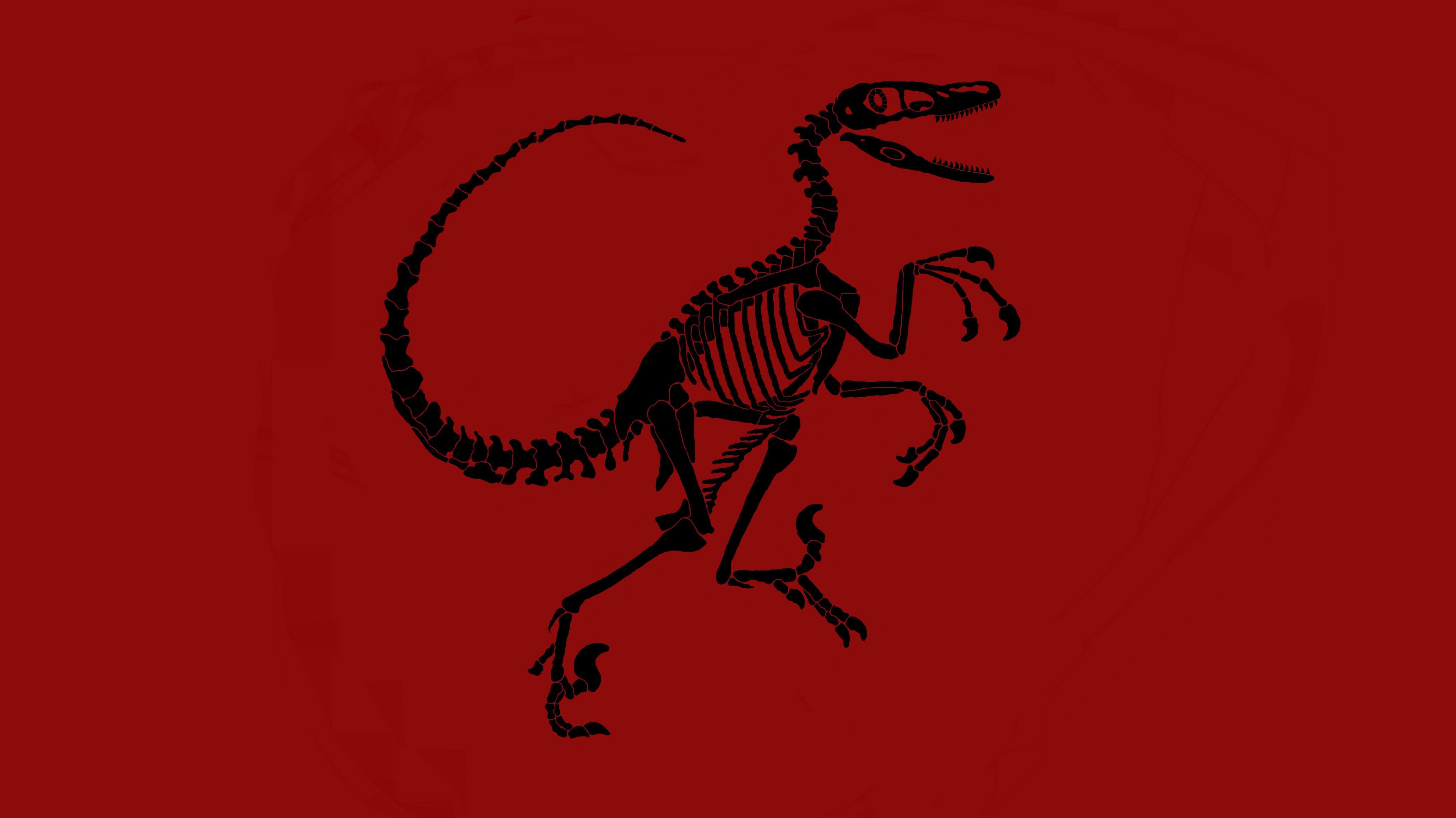 Dino Art Velociraptor Wallpaper Oc R Dinosaurs