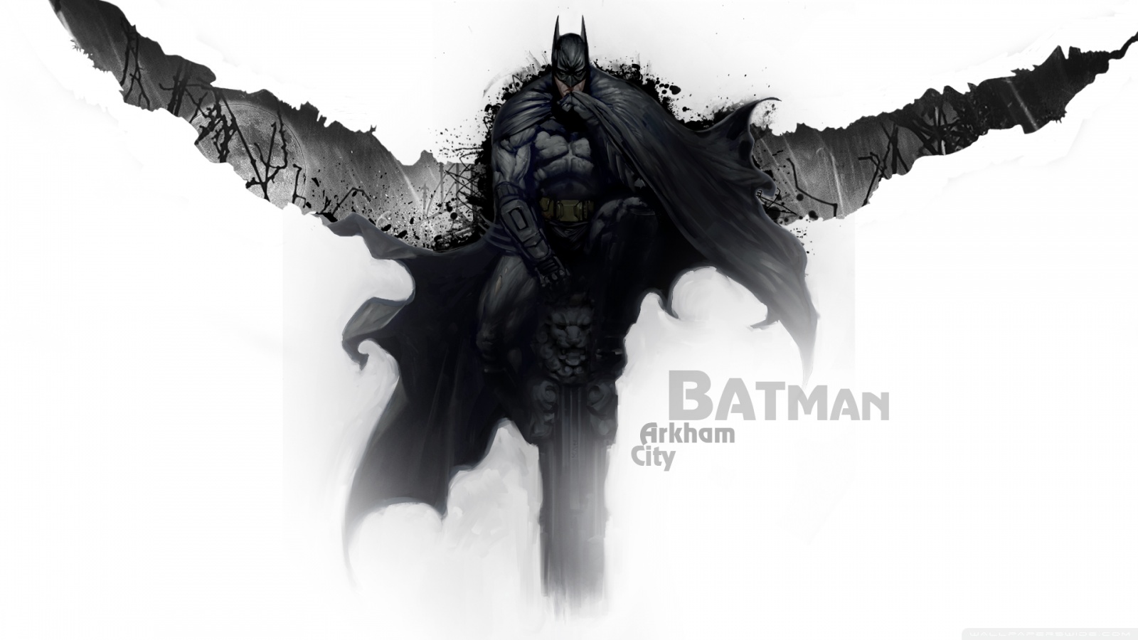 Freaking Spot Batman Arkham City Full HD 1080p Wallpapers