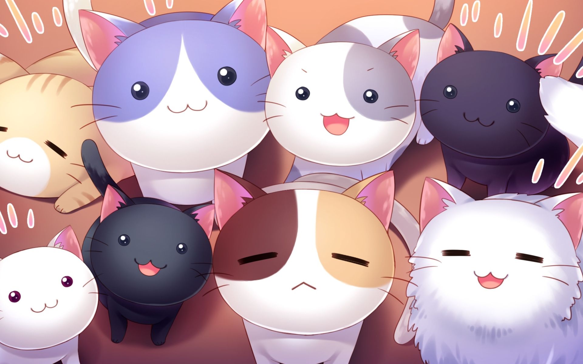 Cat Anime Computer Wallpapers on WallpaperDog 1920x1200