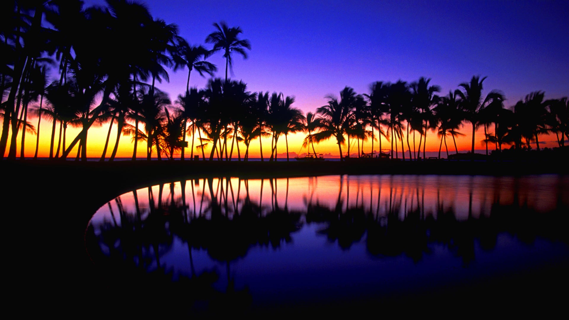 Hawaii Tropical Wallpaper Reflections