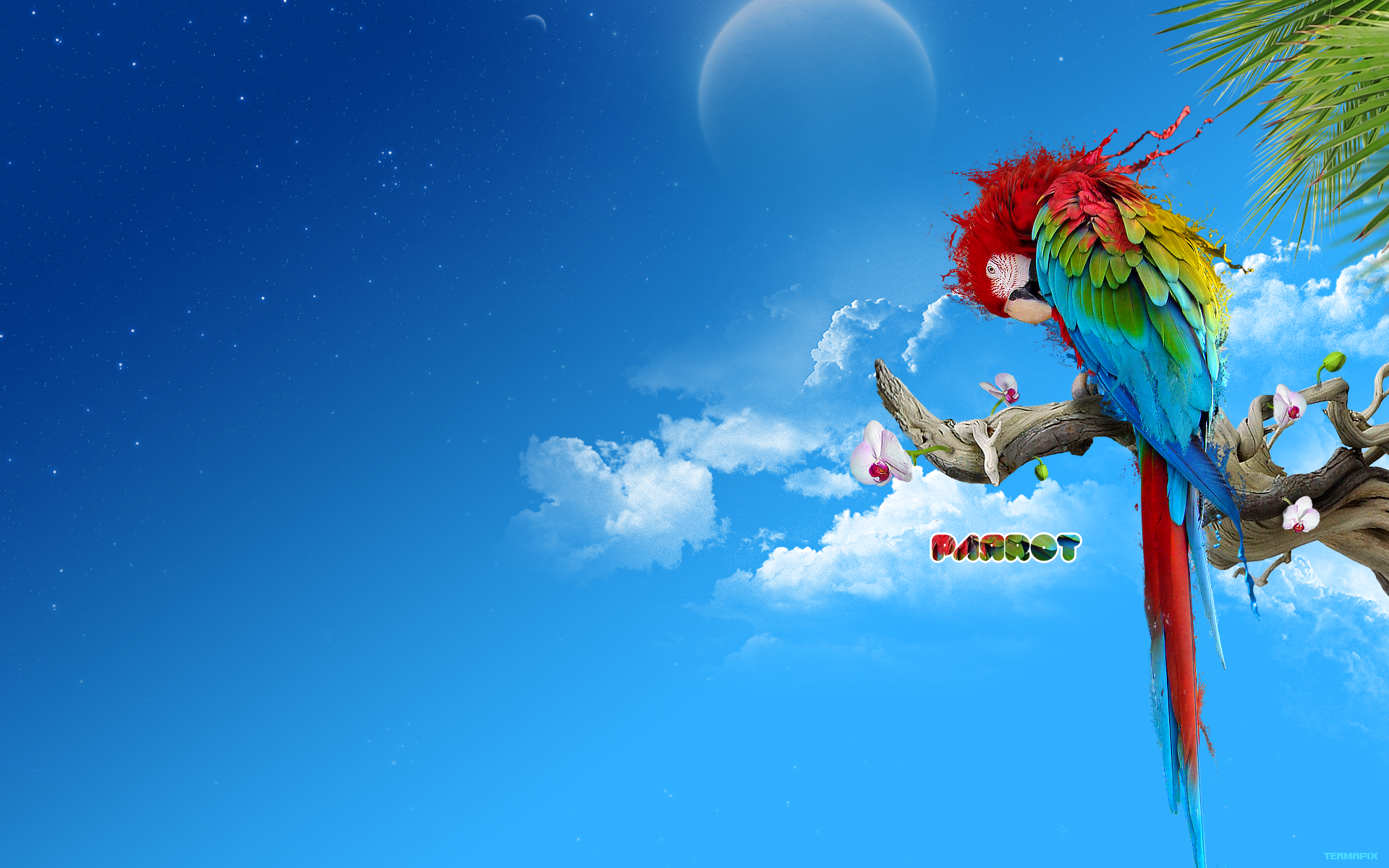  Clouds Palm Leafs Parrots Wallpaper 1920x1200 Full HD Wallpapers