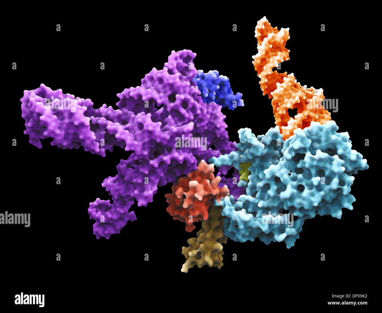 Ribosome structure hi res stock photography and images   Alamy