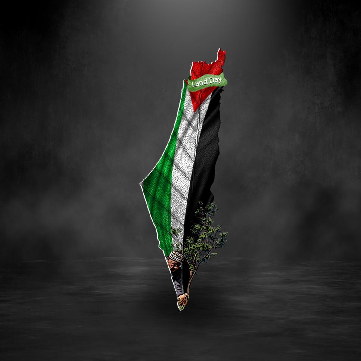 Details Palestine Flag Wallpaper HD 3tdesign Edu Vn
