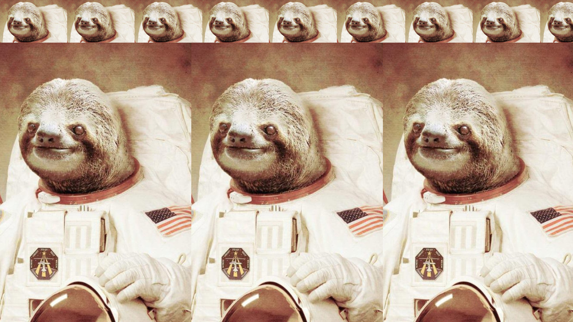Astronaut Sloth For iPhone iPad Puter Wallpaper