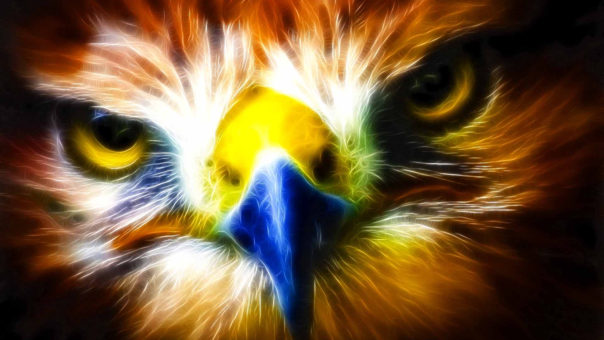 Sfondo Aquila Fantasy Eagle X Animali Cuccioli