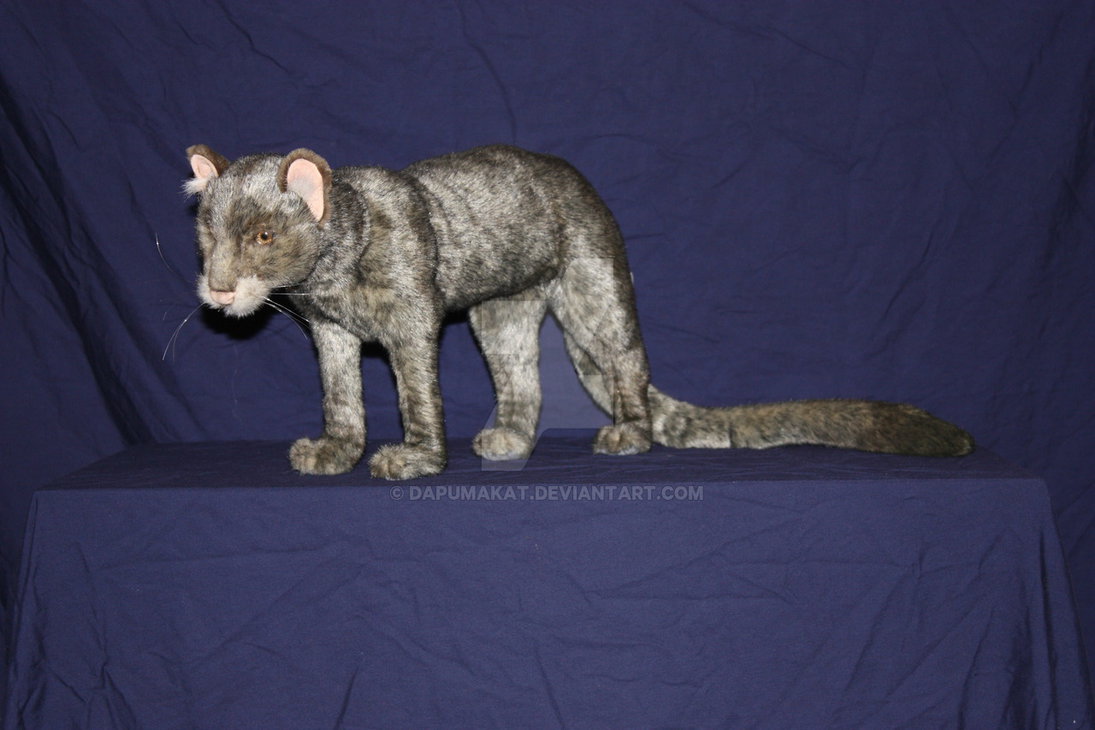 Jaguarundi Ecosia