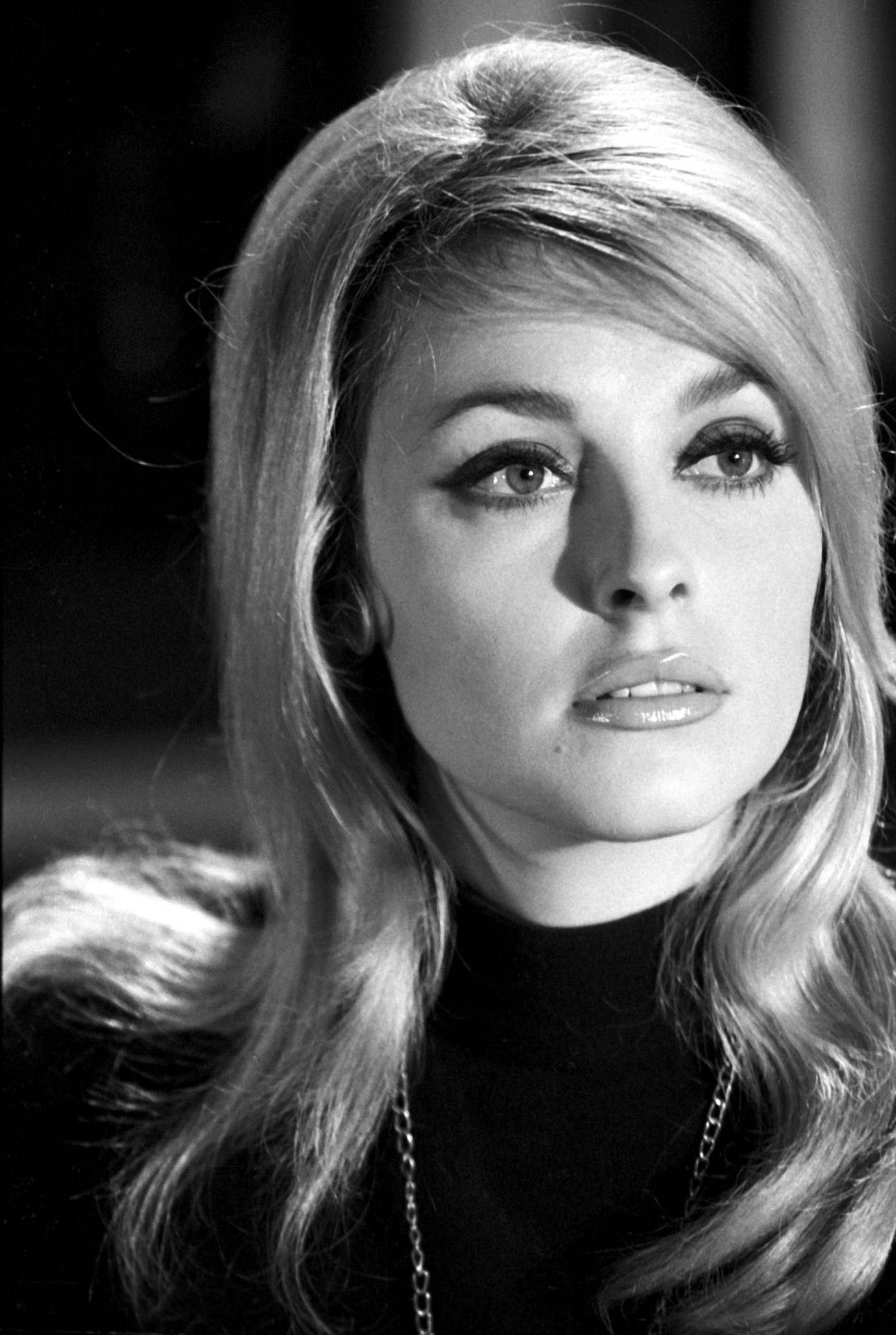 Sharon Tate Wallpaper