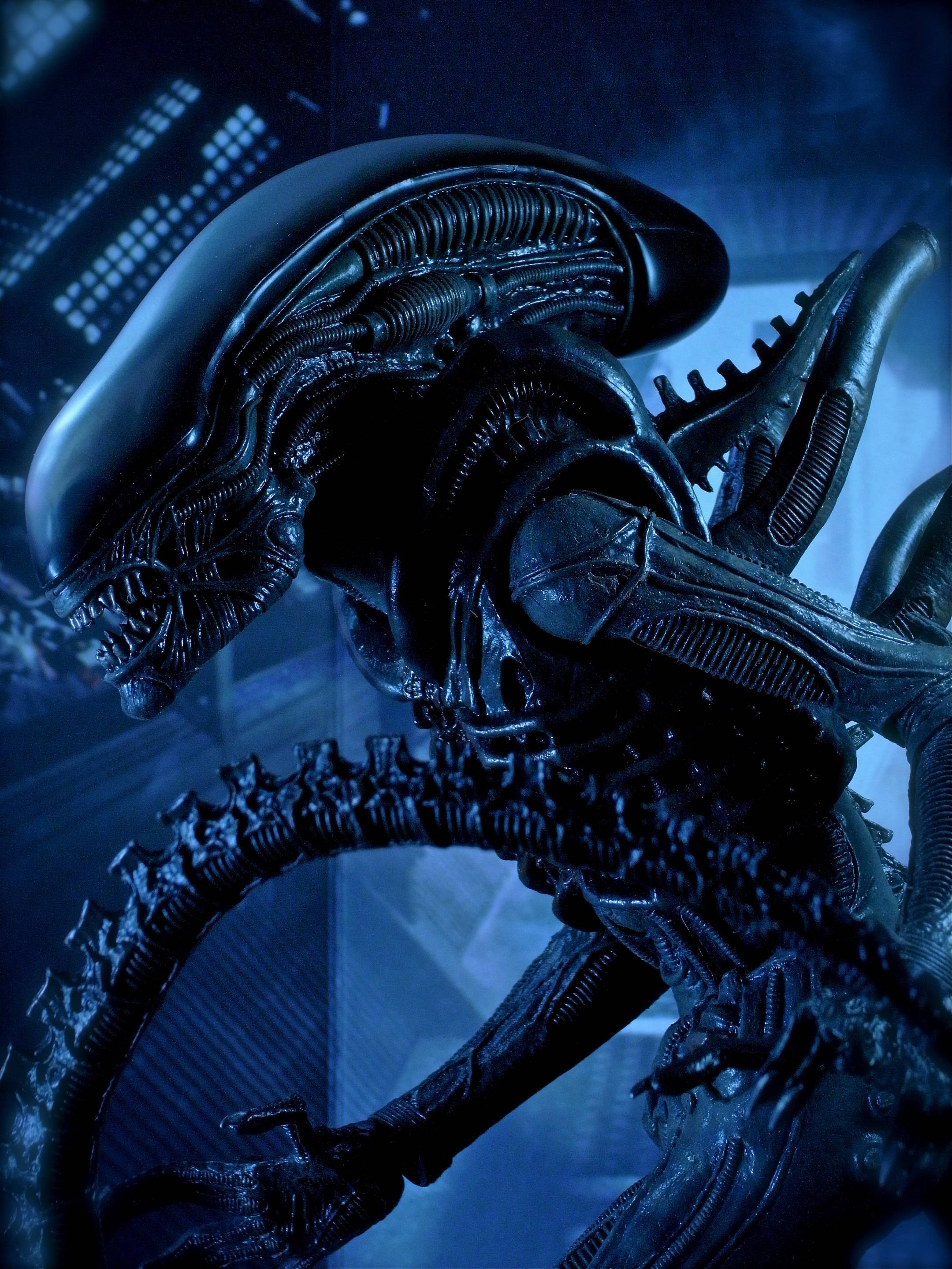 Alien Movie Wallpaper WallpaperSafari Alien Movie Wallpaper WallpaperSafari