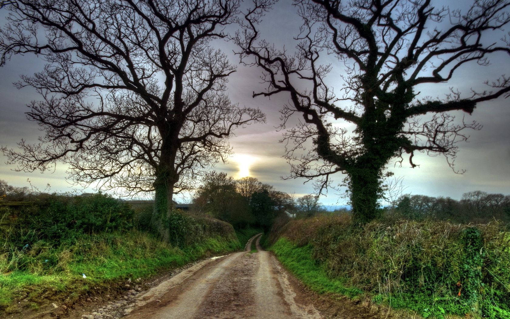 Calming Sunset Stroll Down A Country Road Wallpaper