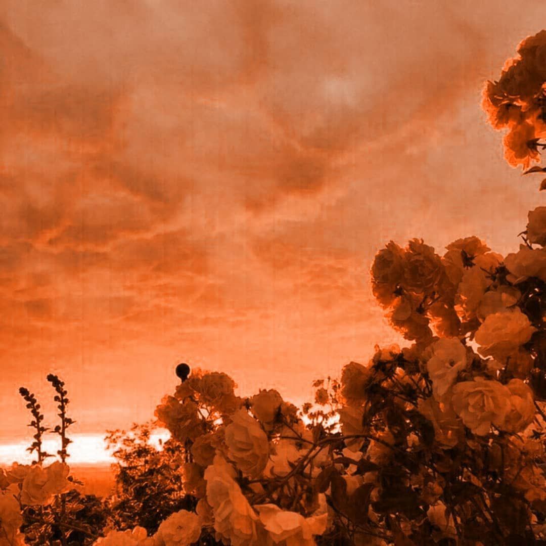 Why Is This So Pretty In Wallpaper