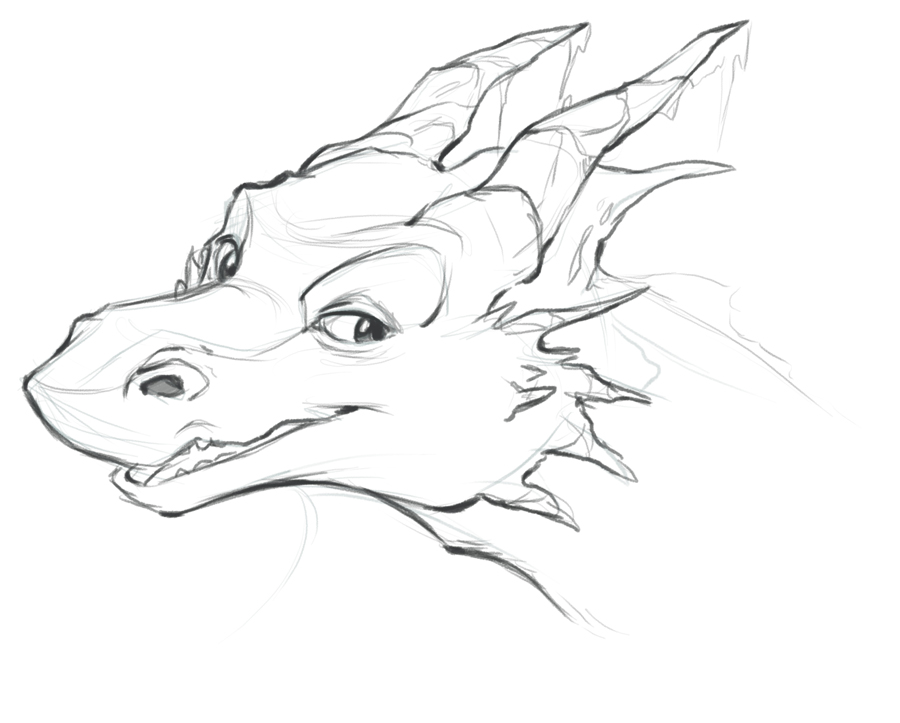 Dragon Head Drawings Wallpaper Background HD900 X Pixels