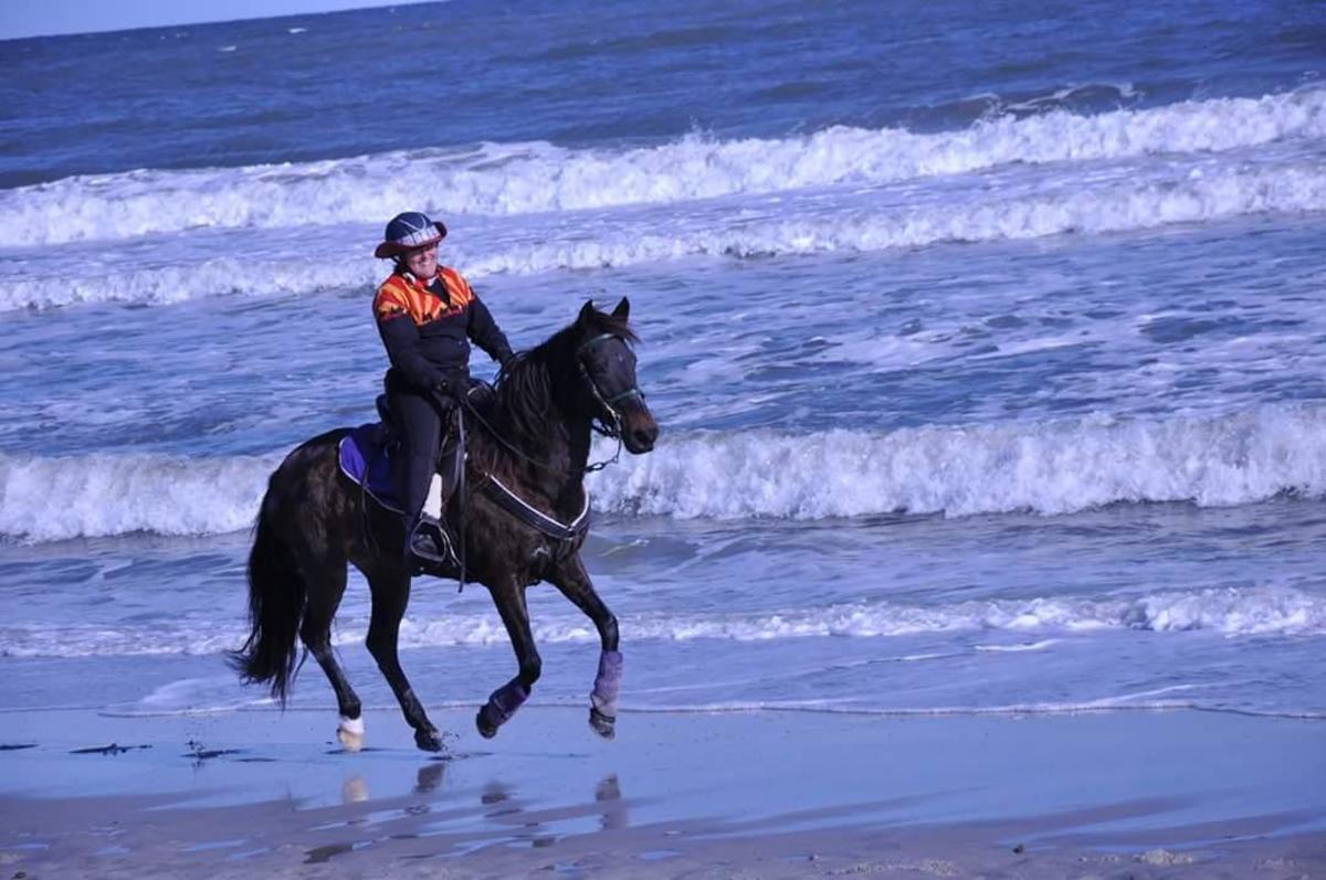 Equine Therapy Helped Woman Recover From Drunk Driving Accident