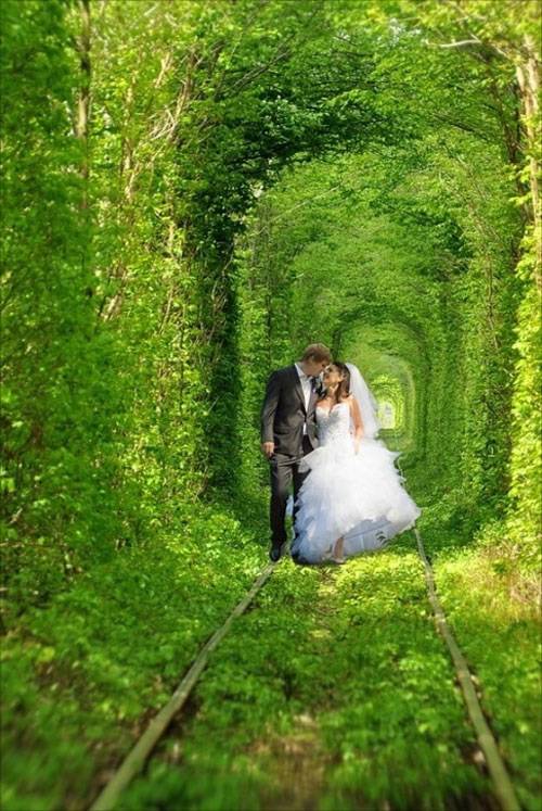 Tunnel Of Love In Ukraine Today The Is Highly Popular