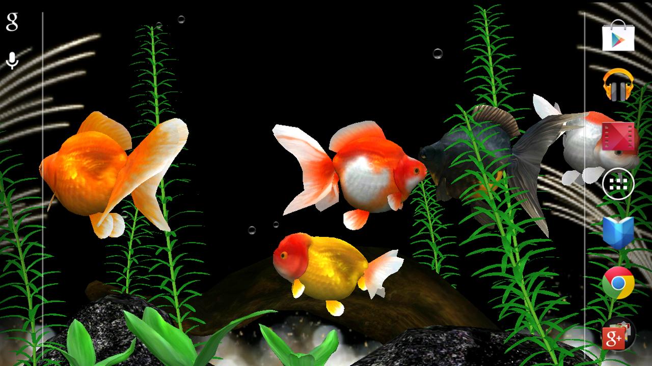 Gold Fish 3d Live Wallpaper Android Apps On Google Play