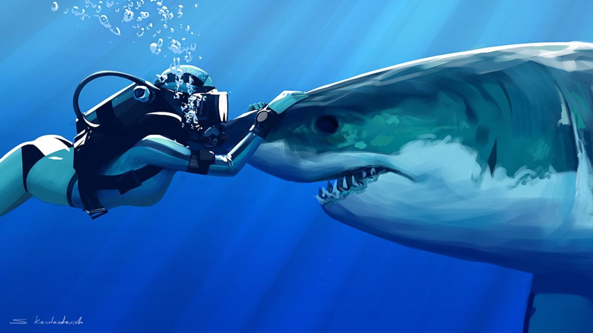 Shark And Human Wallpaper Background Hight Quality
