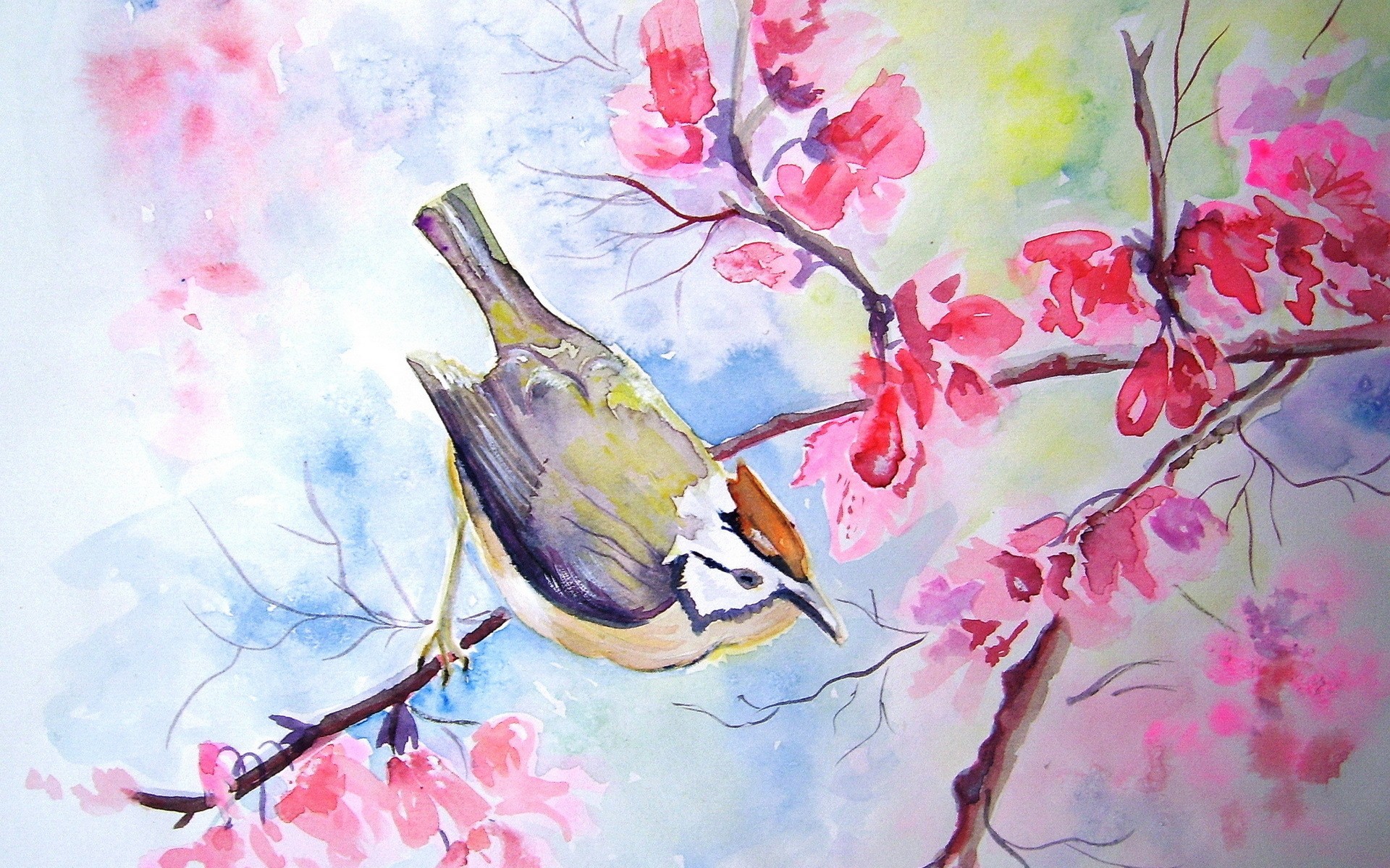 Bird Tree Watercolor Flowers Blossoms Wallpaper HD Desktop